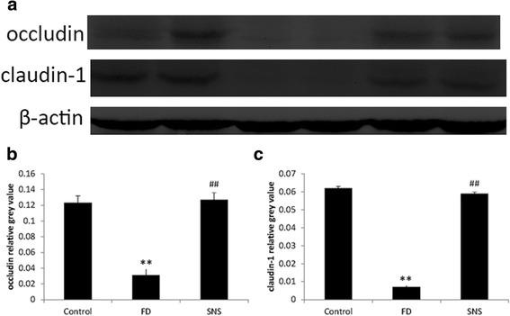 https://cdn.ncbi.nlm.nih.gov/pmc/blobs/da30/5577804/c194aa555876/12906_2017_1938_Fig3_HTML.jpg