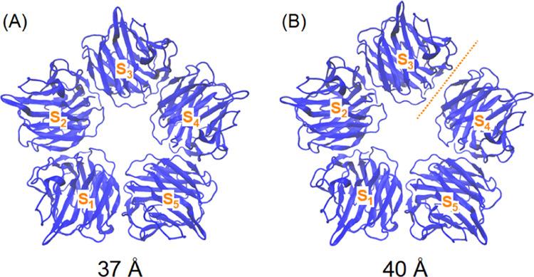 https://cdn.ncbi.nlm.nih.gov/pmc/blobs/da31/7905796/88b9fd73471c/ao0c05579_0006.jpg