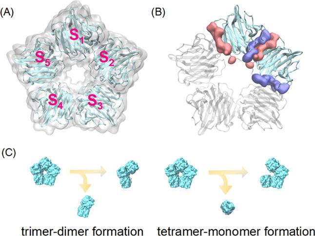 https://cdn.ncbi.nlm.nih.gov/pmc/blobs/da31/7905796/cb766fd0c23e/ao0c05579_0002.jpg