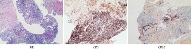 https://cdn.ncbi.nlm.nih.gov/pmc/blobs/da32/11718573/9feeb3a887e1/98979-g002.jpg