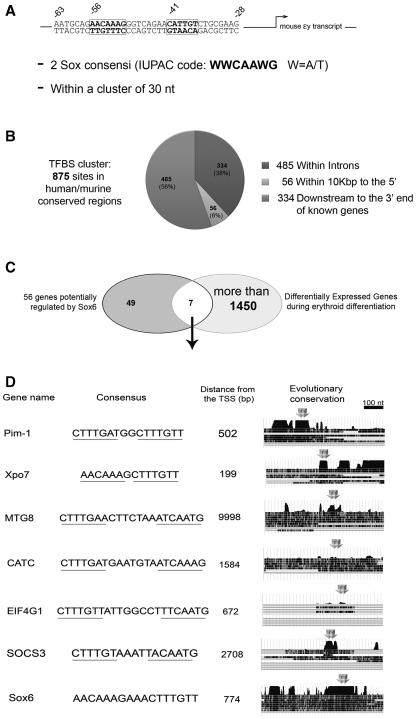 https://cdn.ncbi.nlm.nih.gov/pmc/blobs/da32/3025548/3e53f3e5a482/gkq819f2.jpg