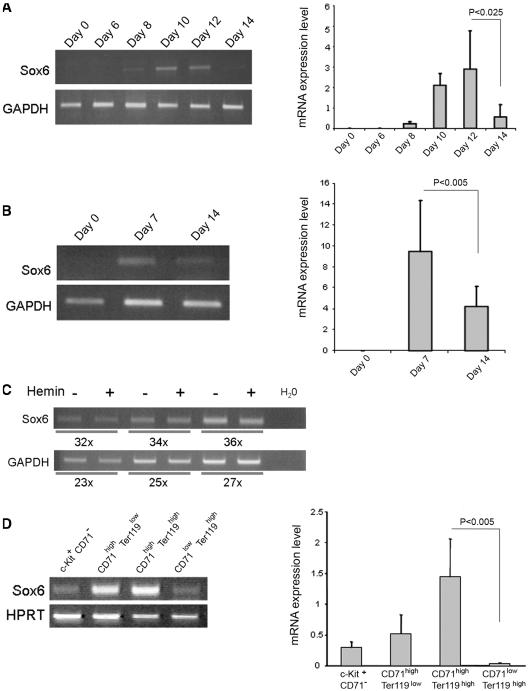 https://cdn.ncbi.nlm.nih.gov/pmc/blobs/da32/3025548/95fbe0ef8cff/gkq819f1.jpg