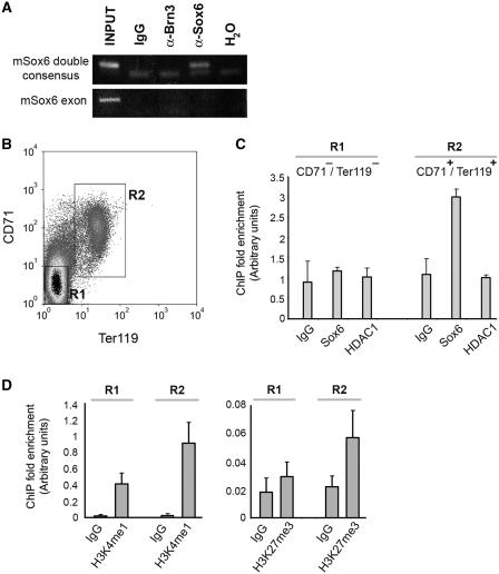 https://cdn.ncbi.nlm.nih.gov/pmc/blobs/da32/3025548/f38436427439/gkq819f7.jpg