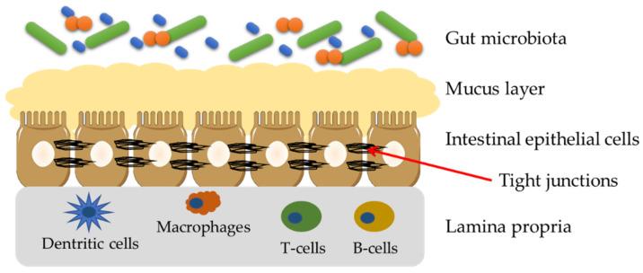 https://cdn.ncbi.nlm.nih.gov/pmc/blobs/da33/9739931/59e123d95b18/ijms-23-15279-g003.jpg