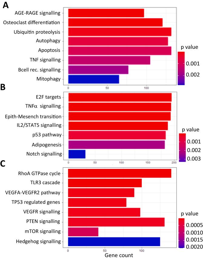 https://cdn.ncbi.nlm.nih.gov/pmc/blobs/da35/11874528/26ccd1d859da/gr3.jpg