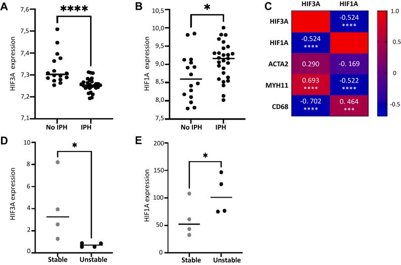 https://cdn.ncbi.nlm.nih.gov/pmc/blobs/da35/11874528/a7860b0b39fa/gr5.jpg