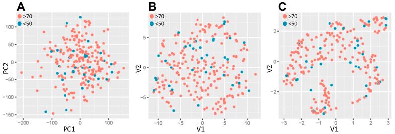 https://cdn.ncbi.nlm.nih.gov/pmc/blobs/da35/11874528/afaa4a44a34a/gr1.jpg
