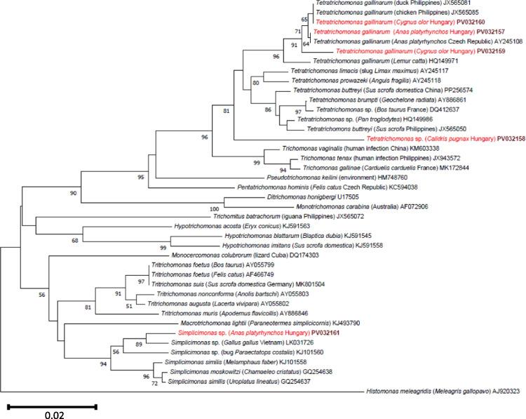 https://cdn.ncbi.nlm.nih.gov/pmc/blobs/da35/12222302/dcd3be24bfe8/436_2025_8522_Fig1_HTML.jpg