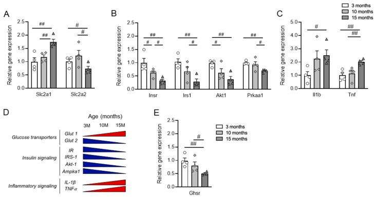 https://cdn.ncbi.nlm.nih.gov/pmc/blobs/da37/11123813/0d6ba01e705d/nutrients-16-01464-g004.jpg