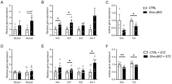 https://cdn.ncbi.nlm.nih.gov/pmc/blobs/da37/11123813/67baadd7dc69/nutrients-16-01464-g007.jpg