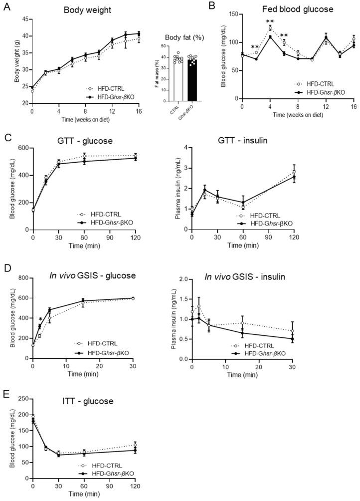 https://cdn.ncbi.nlm.nih.gov/pmc/blobs/da37/11123813/7ad06b524af4/nutrients-16-01464-g001.jpg