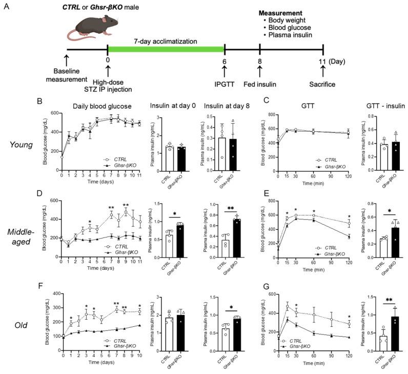 https://cdn.ncbi.nlm.nih.gov/pmc/blobs/da37/11123813/86ae8bf81dee/nutrients-16-01464-g006.jpg
