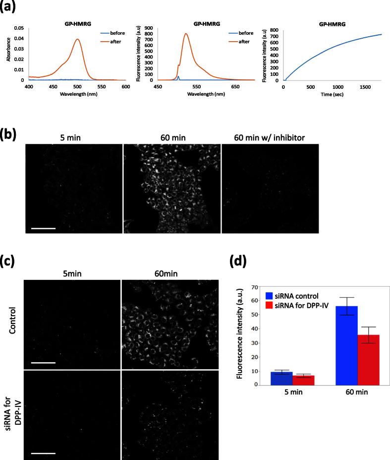 https://cdn.ncbi.nlm.nih.gov/pmc/blobs/da37/4887889/d57526742732/srep26399-f2.jpg