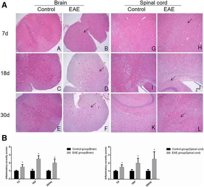 https://cdn.ncbi.nlm.nih.gov/pmc/blobs/da39/6613246/850292c98a3e/12865_2019_301_Fig3_HTML.jpg