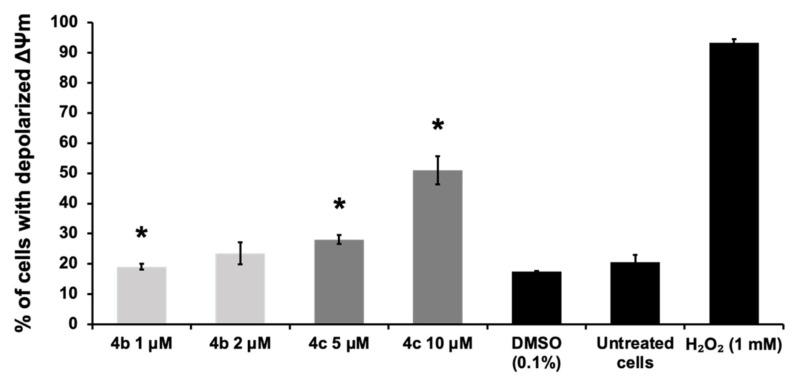 https://cdn.ncbi.nlm.nih.gov/pmc/blobs/da39/8659243/6d1a464f8efe/molecules-26-07132-g005.jpg