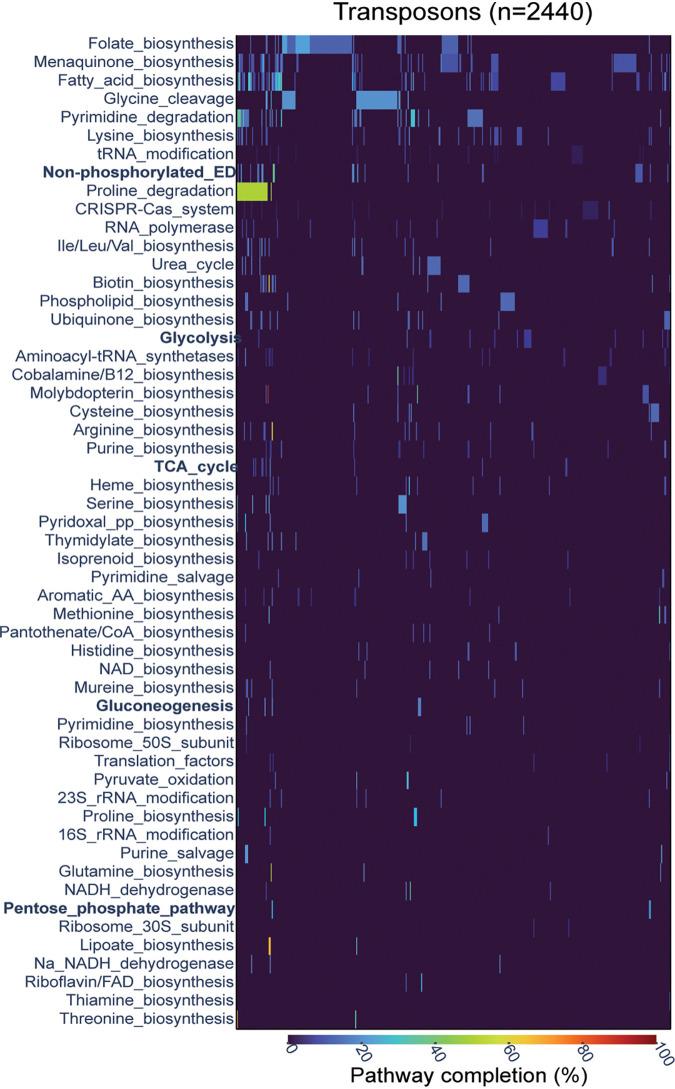 https://cdn.ncbi.nlm.nih.gov/pmc/blobs/da3c/8649781/0ea4297369eb/mbio.02938-21-f004.jpg
