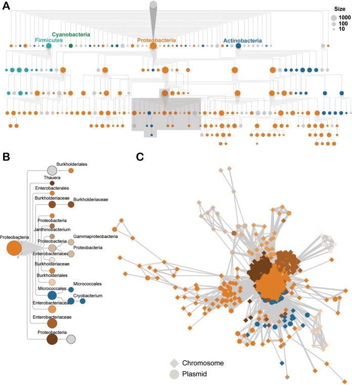 https://cdn.ncbi.nlm.nih.gov/pmc/blobs/da3c/8649781/a0b920fc8868/mbio.02938-21-f002.jpg