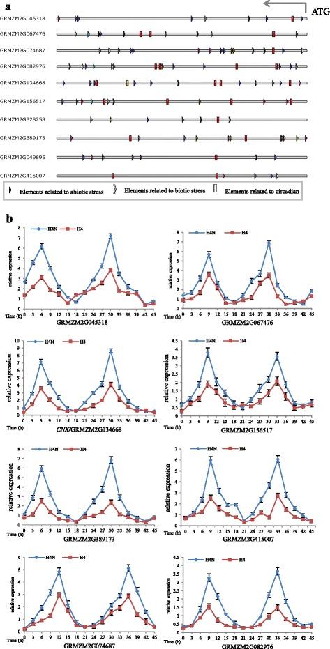 https://cdn.ncbi.nlm.nih.gov/pmc/blobs/da3e/5094027/c839a88522cb/12870_2016_930_Fig6_HTML.jpg