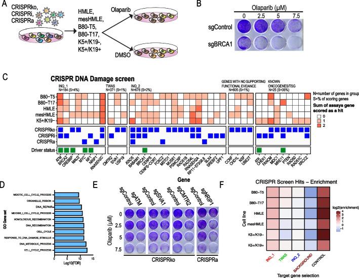 https://cdn.ncbi.nlm.nih.gov/pmc/blobs/da40/10053147/e97553f212dc/13059_2023_2898_Fig3_HTML.jpg