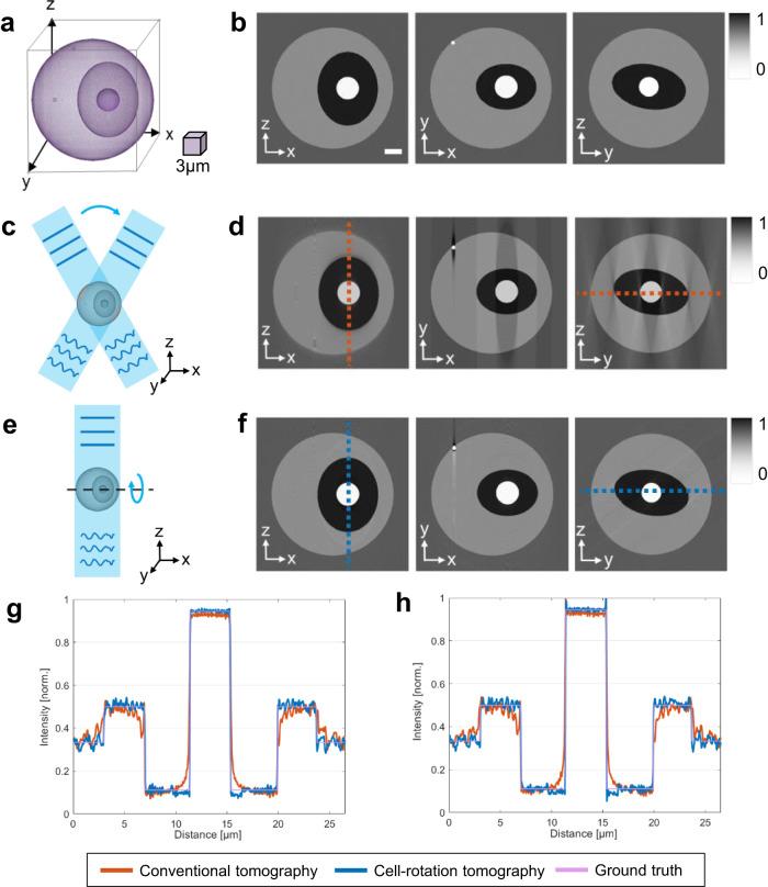 https://cdn.ncbi.nlm.nih.gov/pmc/blobs/da41/10762230/0e878ef4e3f2/41467_2023_44280_Fig4_HTML.jpg