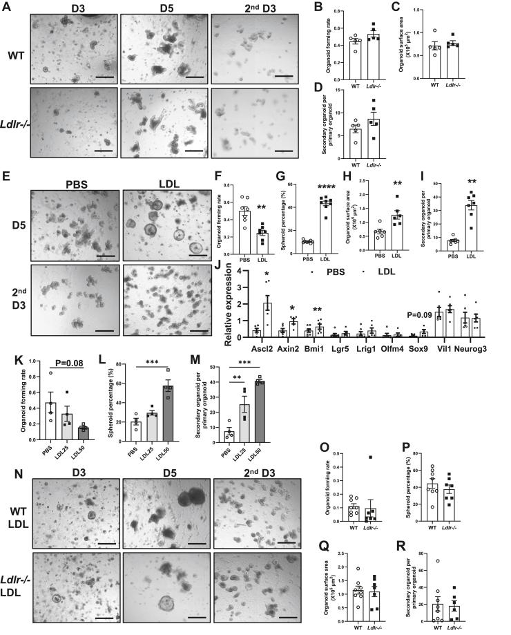 https://cdn.ncbi.nlm.nih.gov/pmc/blobs/da41/12173109/89a7cbbc8a57/gr4.jpg