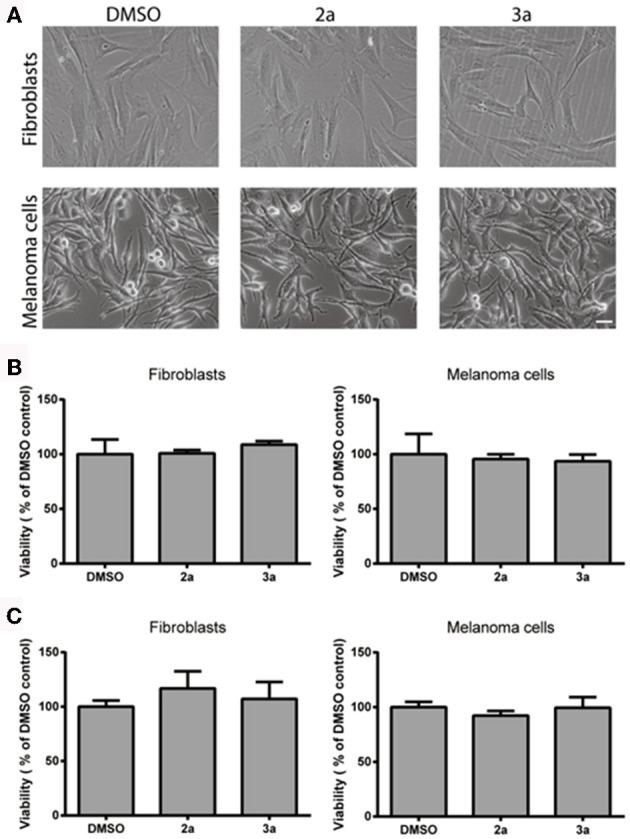 https://cdn.ncbi.nlm.nih.gov/pmc/blobs/da41/5403830/aa085a0ce476/fchem-05-00028-g0004.jpg