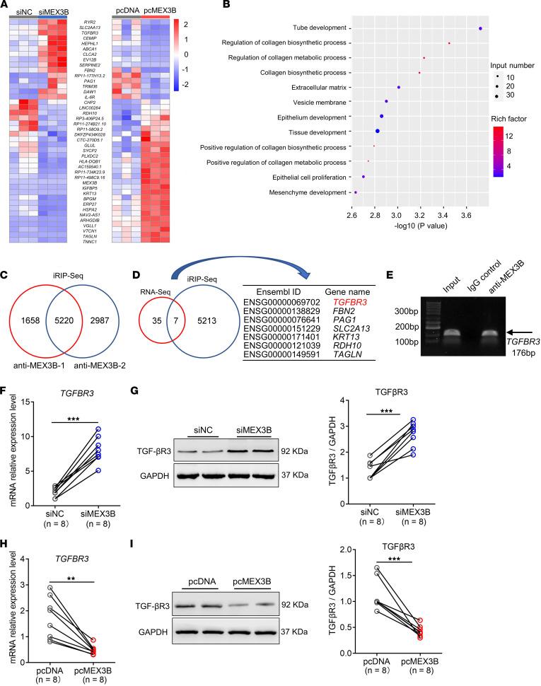 https://cdn.ncbi.nlm.nih.gov/pmc/blobs/da42/10243817/779ea4f26f25/jciinsight-8-159058-g105.jpg