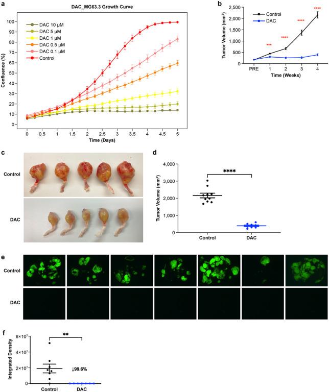 https://cdn.ncbi.nlm.nih.gov/pmc/blobs/da47/11213205/91ef352f5cba/nihpp-rs4451060v1-f0001.jpg