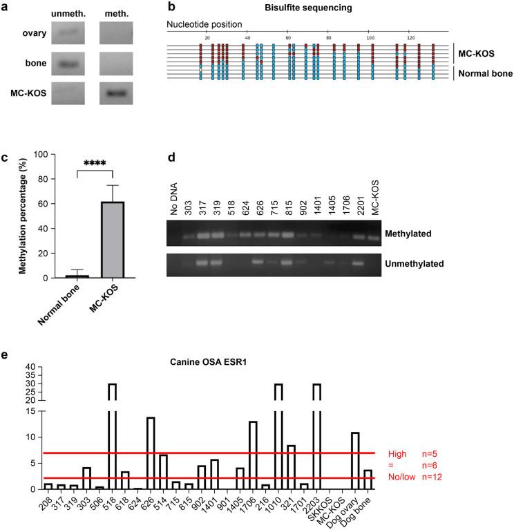 https://cdn.ncbi.nlm.nih.gov/pmc/blobs/da47/11213205/ef229964e74d/nihpp-rs4451060v1-f0002.jpg