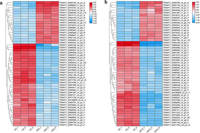 https://cdn.ncbi.nlm.nih.gov/pmc/blobs/da47/12054245/99655877db52/12870_2025_6591_Fig6_HTML.jpg
