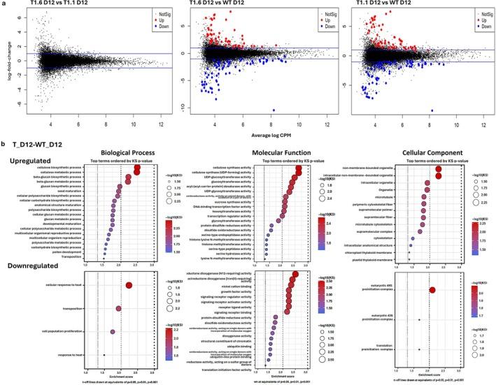 https://cdn.ncbi.nlm.nih.gov/pmc/blobs/da48/12145078/22e99b744a29/PPL-177-e70306-g004.jpg
