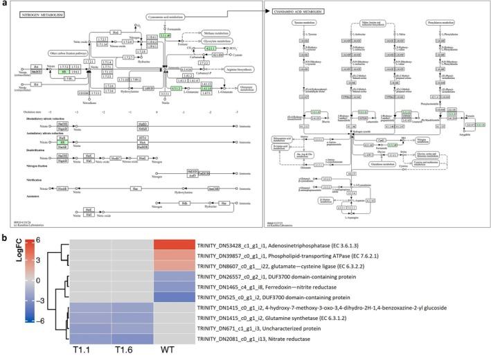 https://cdn.ncbi.nlm.nih.gov/pmc/blobs/da48/12145078/2a81e51eee9b/PPL-177-e70306-g002.jpg