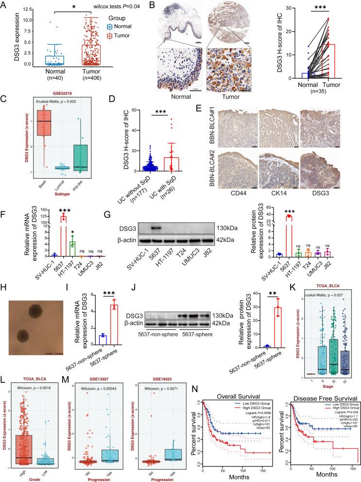 https://cdn.ncbi.nlm.nih.gov/pmc/blobs/da48/12225158/1c07ea805050/12967_2025_6754_Fig2_HTML.jpg