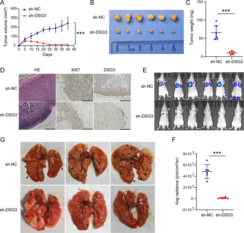 https://cdn.ncbi.nlm.nih.gov/pmc/blobs/da48/12225158/5d9b0c0189b9/12967_2025_6754_Fig4_HTML.jpg