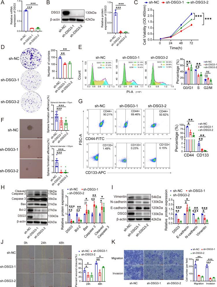 https://cdn.ncbi.nlm.nih.gov/pmc/blobs/da48/12225158/ab611a352ccc/12967_2025_6754_Fig3_HTML.jpg