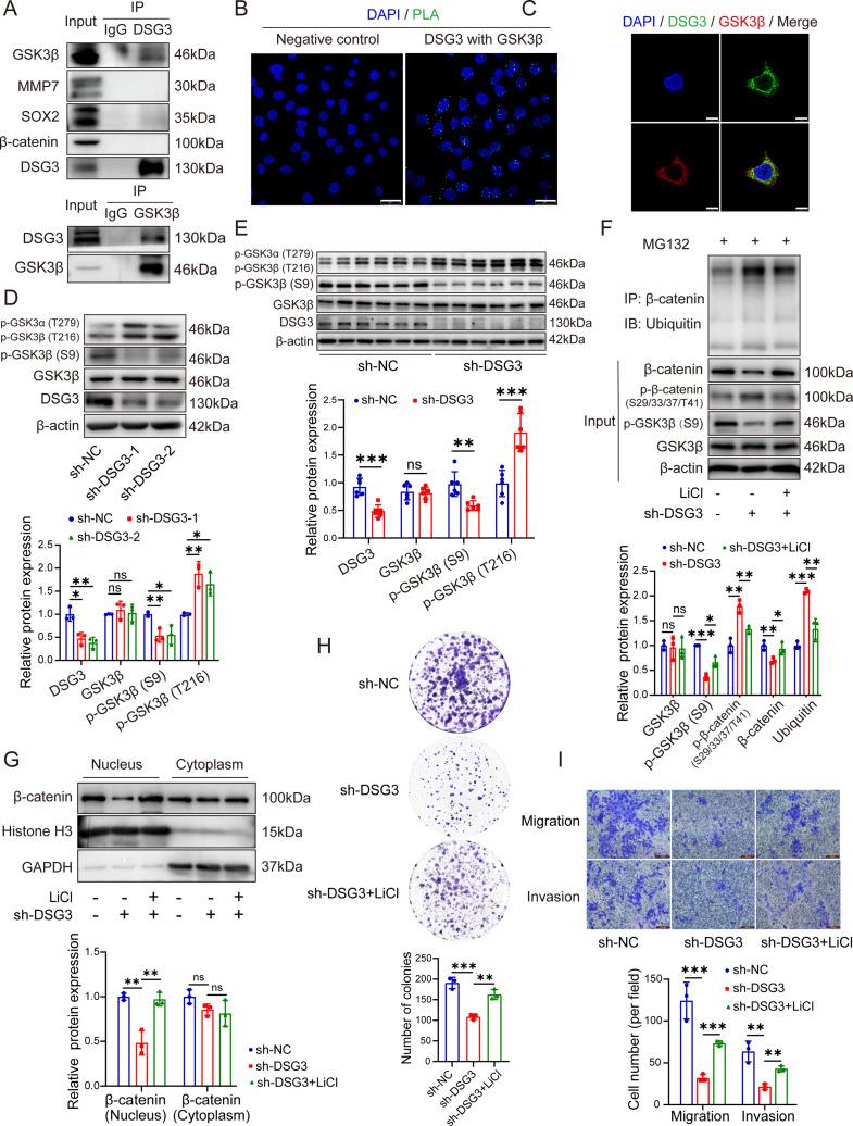 https://cdn.ncbi.nlm.nih.gov/pmc/blobs/da48/12225158/ad0645b2d694/12967_2025_6754_Fig8_HTML.jpg