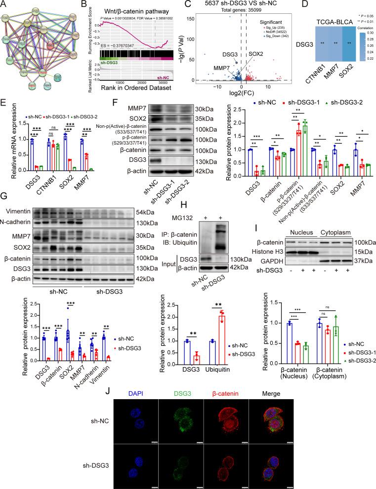 https://cdn.ncbi.nlm.nih.gov/pmc/blobs/da48/12225158/dbafe3e04a97/12967_2025_6754_Fig6_HTML.jpg