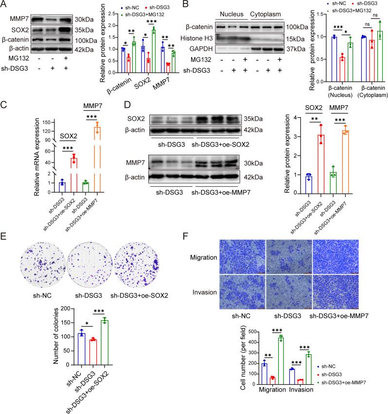 https://cdn.ncbi.nlm.nih.gov/pmc/blobs/da48/12225158/f068c4ecf12e/12967_2025_6754_Fig7_HTML.jpg
