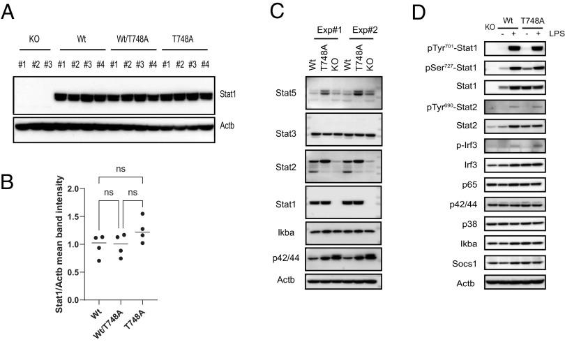 https://cdn.ncbi.nlm.nih.gov/pmc/blobs/da4b/11046697/752f1790e6b8/pnas.2402226121fig02.jpg
