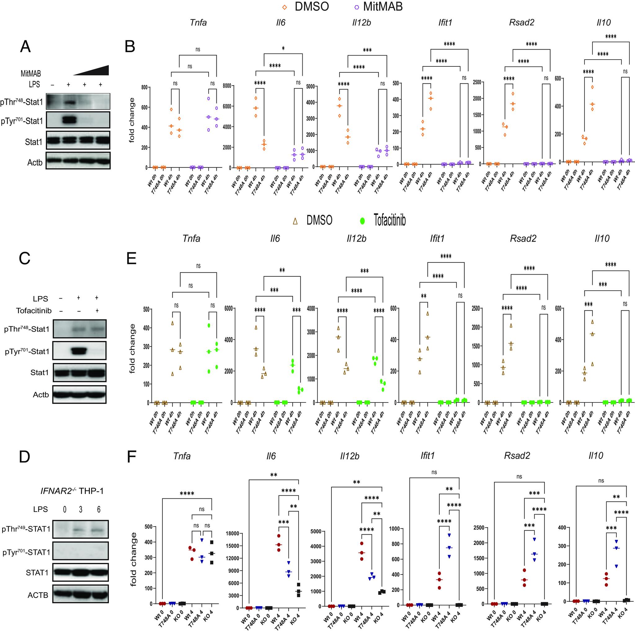 https://cdn.ncbi.nlm.nih.gov/pmc/blobs/da4b/11046697/e253f45c5a74/pnas.2402226121fig06.jpg