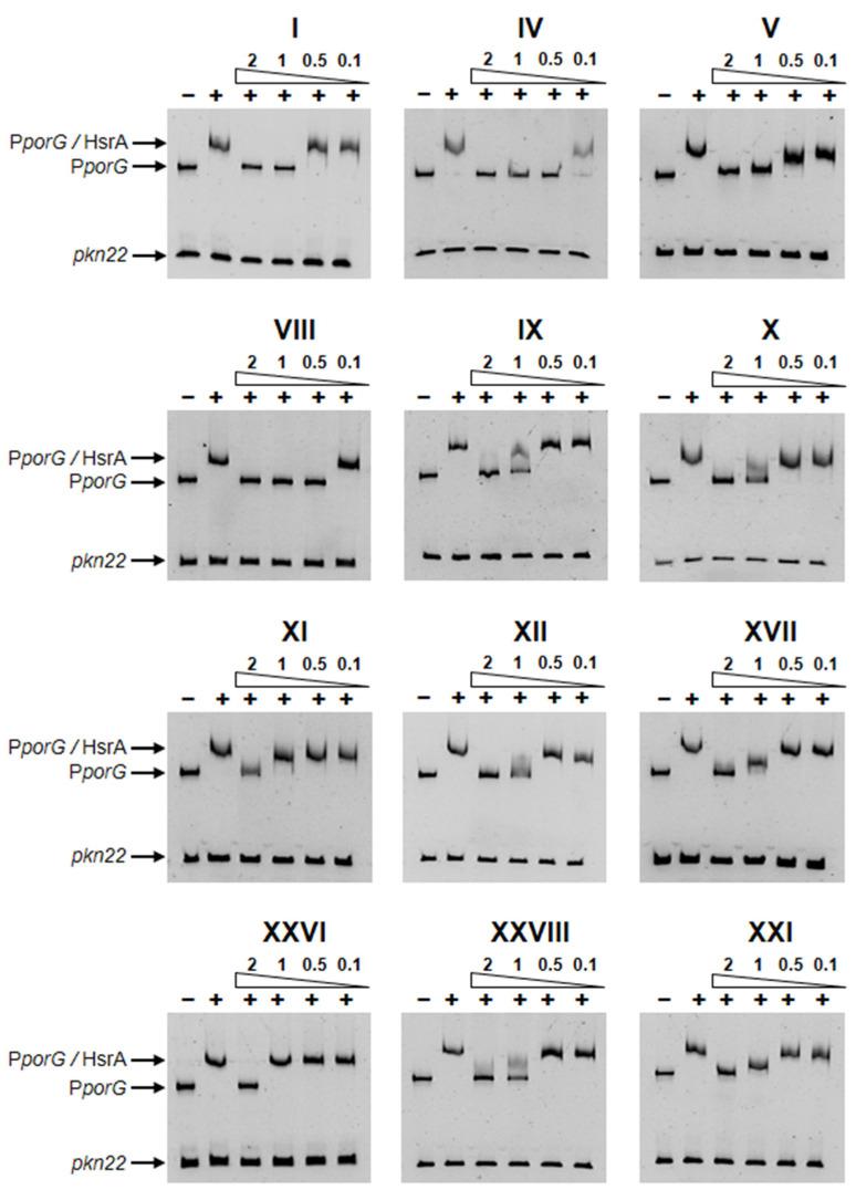 https://cdn.ncbi.nlm.nih.gov/pmc/blobs/da4b/11432330/82bc284ad498/ijms-25-10175-g002.jpg