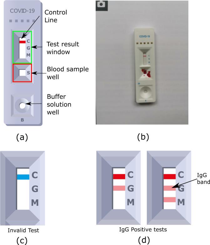 https://cdn.ncbi.nlm.nih.gov/pmc/blobs/da4b/9259560/bf5675131303/43856_2022_146_Fig1_HTML.jpg