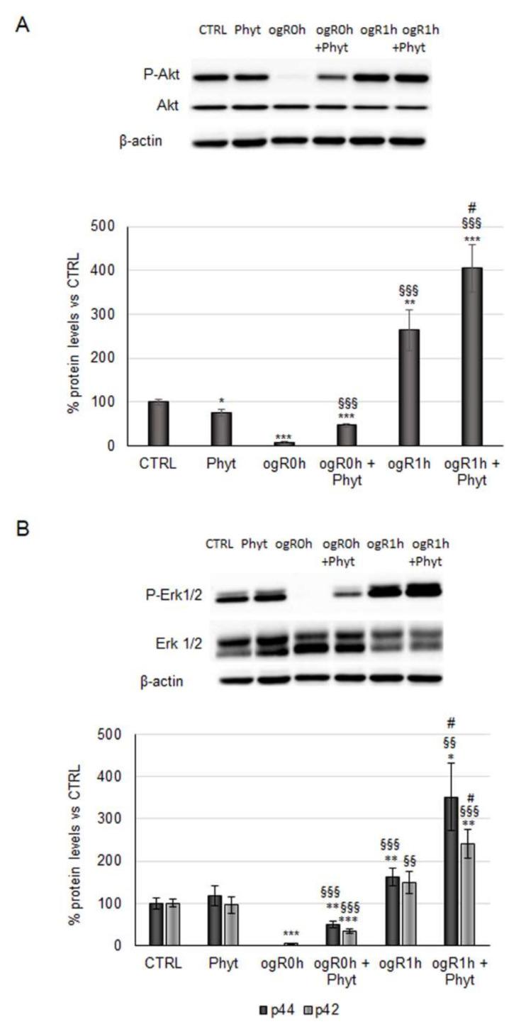 https://cdn.ncbi.nlm.nih.gov/pmc/blobs/da4c/8839093/0cb88ee9494f/molecules-27-01049-g005.jpg