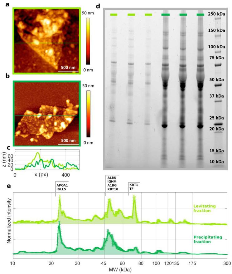 https://cdn.ncbi.nlm.nih.gov/pmc/blobs/da4c/9324036/614cb97f8d7c/nanomaterials-12-02376-g004.jpg