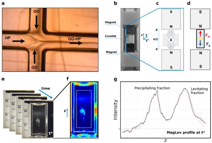 https://cdn.ncbi.nlm.nih.gov/pmc/blobs/da4c/9324036/a7c378347171/nanomaterials-12-02376-g001.jpg