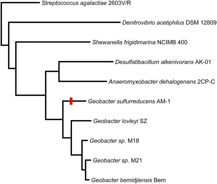 https://cdn.ncbi.nlm.nih.gov/pmc/blobs/da4f/4427408/3fb73740cc05/pone.0125888.g005.jpg