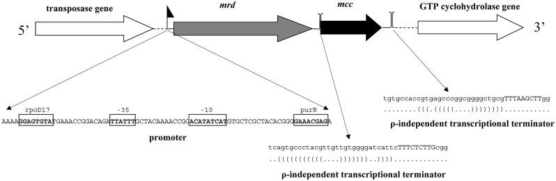 https://cdn.ncbi.nlm.nih.gov/pmc/blobs/da4f/4427408/4d058363c712/pone.0125888.g001.jpg