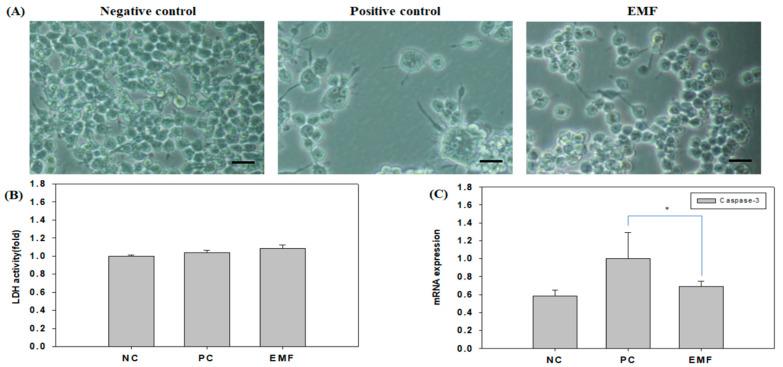 https://cdn.ncbi.nlm.nih.gov/pmc/blobs/da4f/9959640/476c8687342e/ijms-24-03058-g001.jpg