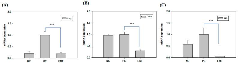 https://cdn.ncbi.nlm.nih.gov/pmc/blobs/da4f/9959640/b614a1c2cef1/ijms-24-03058-g005.jpg