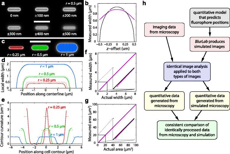 https://cdn.ncbi.nlm.nih.gov/pmc/blobs/da50/5320674/8d8f664bb6ec/12915_2017_348_Fig3_HTML.jpg